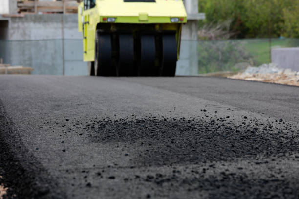 Best Residential Driveway Paver Services  in Honokaa, HI