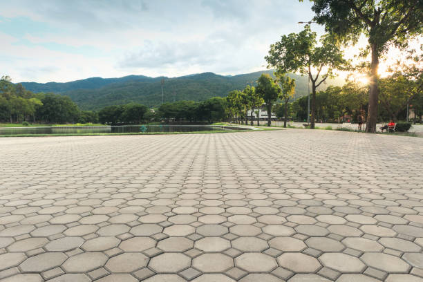 Best Best Driveway Pavers  in Honokaa, HI