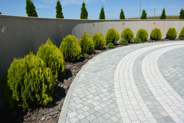 Reasons to Select Us for Your Driveway Paving Requirements in Honokaa, HI