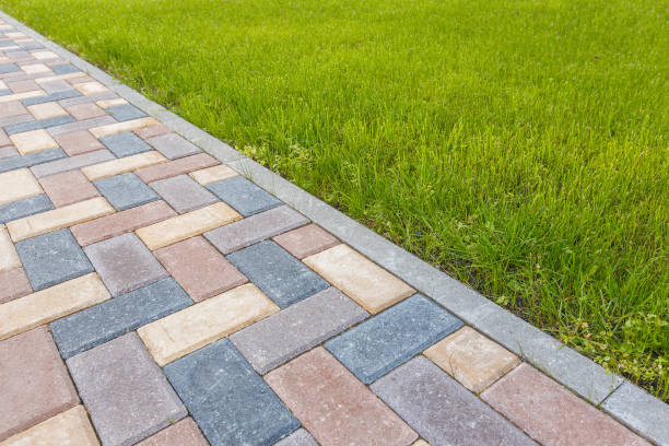 Best Driveway Repair Near Me  in Honokaa, HI